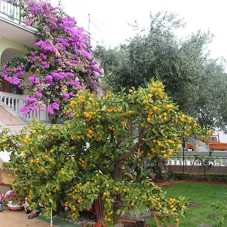 Apartment Apartmani Gojevic *