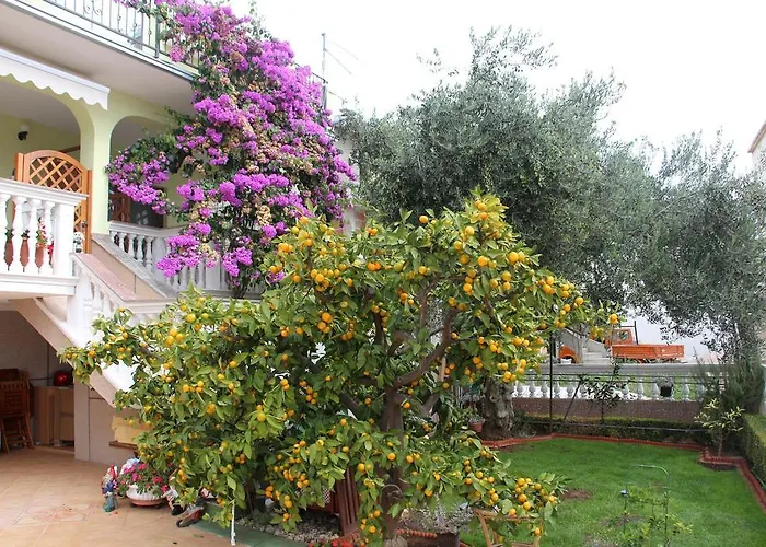 Apartment Apartmani Gojevic *